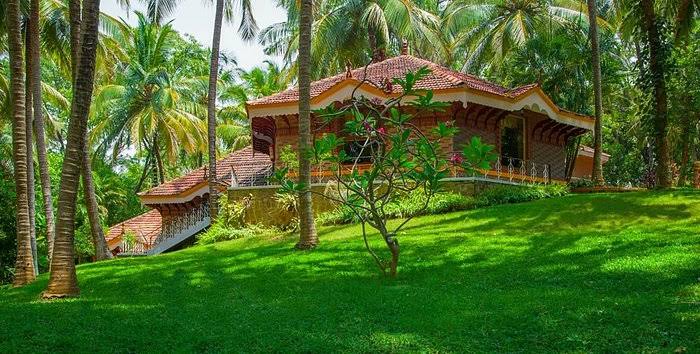 Ayurveda Healing Village: A Sanctuary for Holistic Wellness