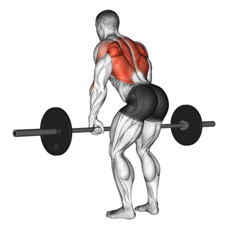 barbell static holds